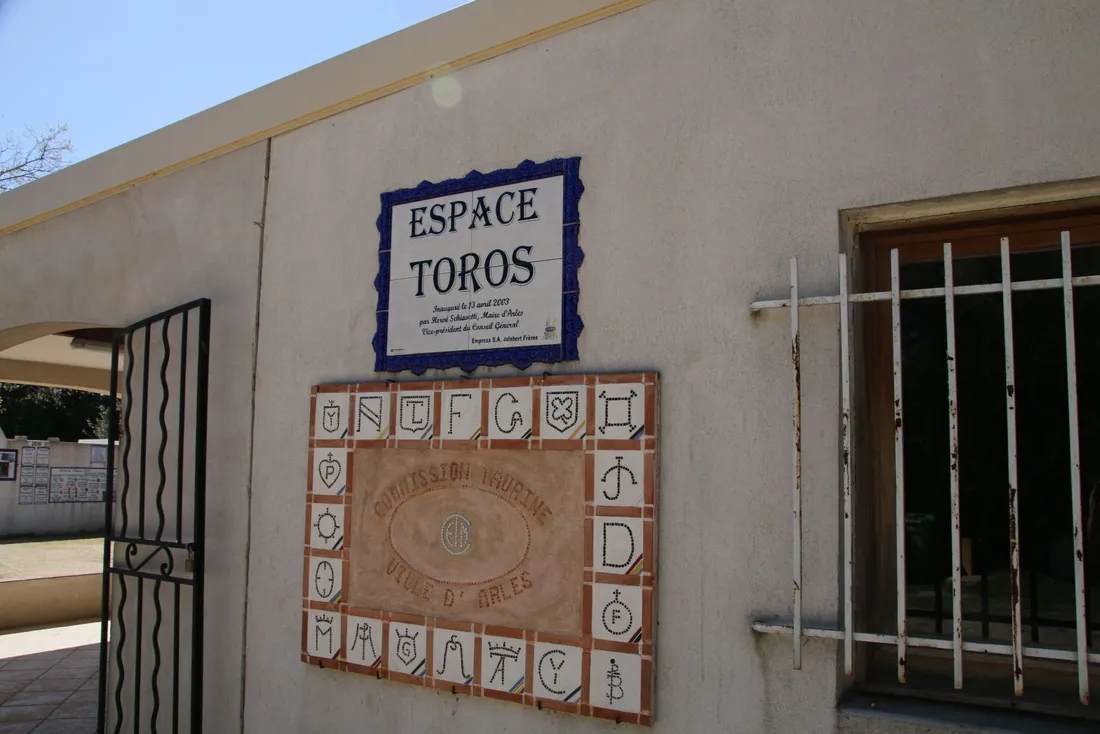 Espace Toros de la Feria du Riz à Arles : Une immersion unique dans l’univers taurin