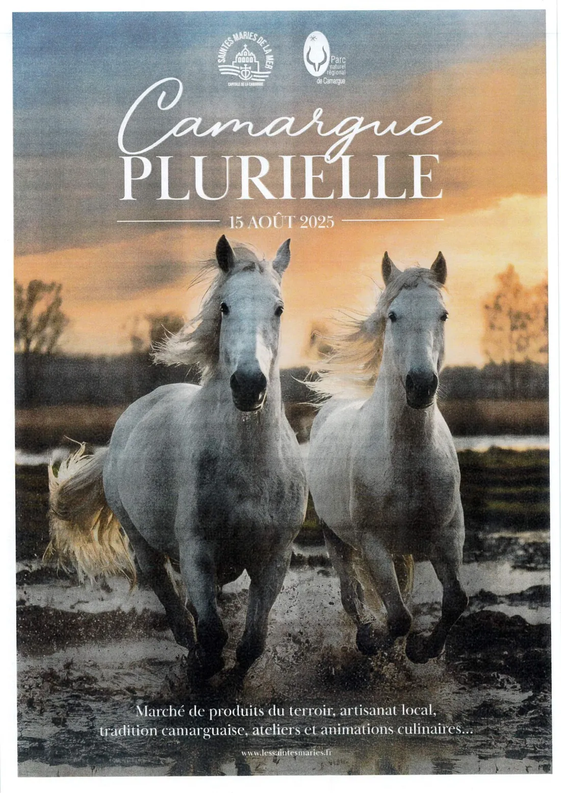 Camargue Plurielle : une immersion festive au cœur des traditions des Saintes-Maries-de-la-Mer