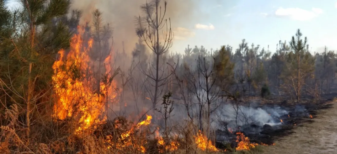 Un incendie aux portes d’Istres maîtrisé de justesse par les pompiers
