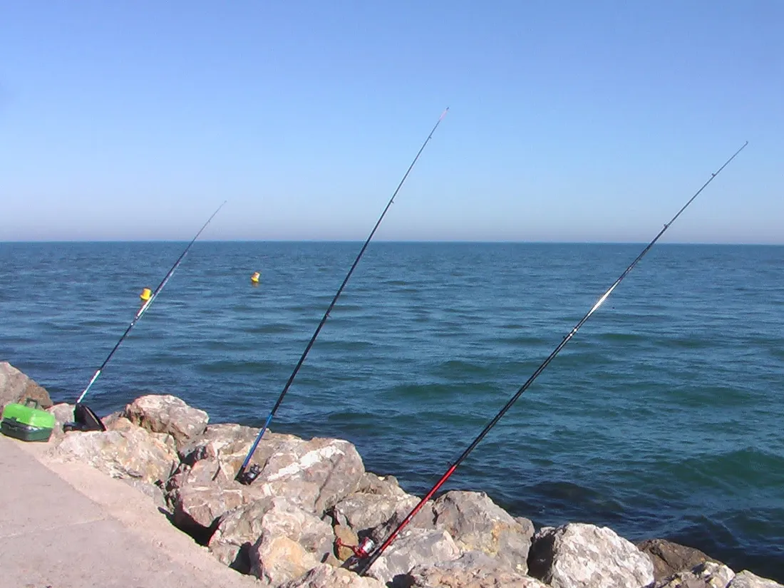 De nouvelles restrictions et interdictions pour la pêche à la ligne