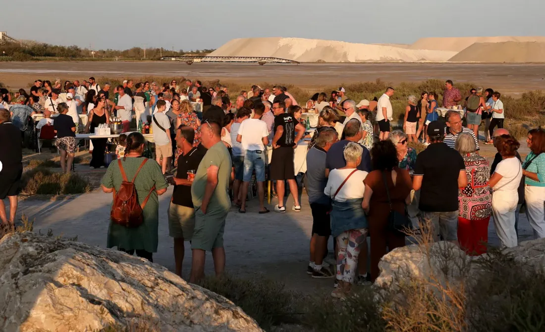 À Salin-de-Giraud, l'histoire de La Baleine se raconte au pied des camelles 