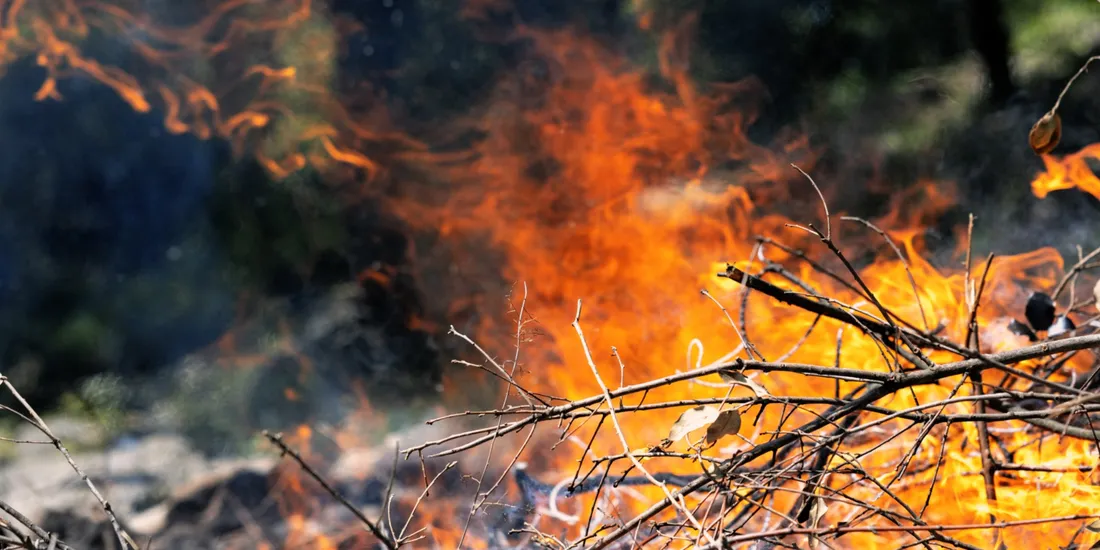 [ PREVENTION ] Incendies en forêt: Météofrance met en place un nouvel outil de prévention 