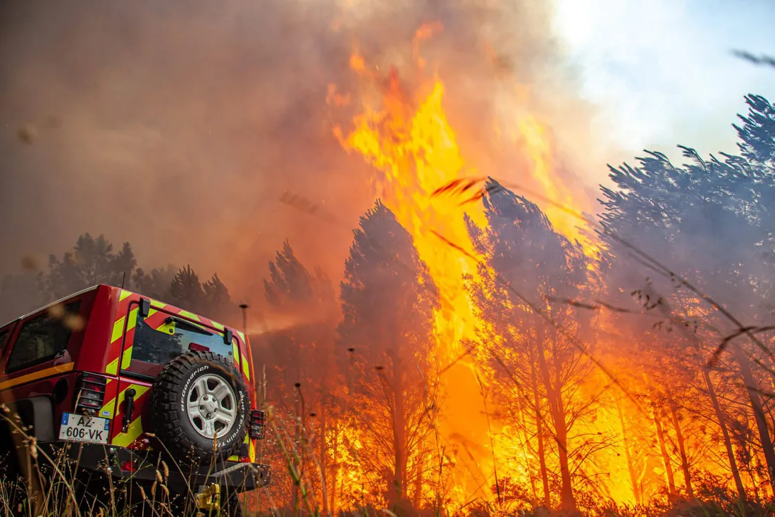 [ ENVIRONNEMENT ] Incendie en Gironde: Une catastrophe humaine, environnementale et matérielle