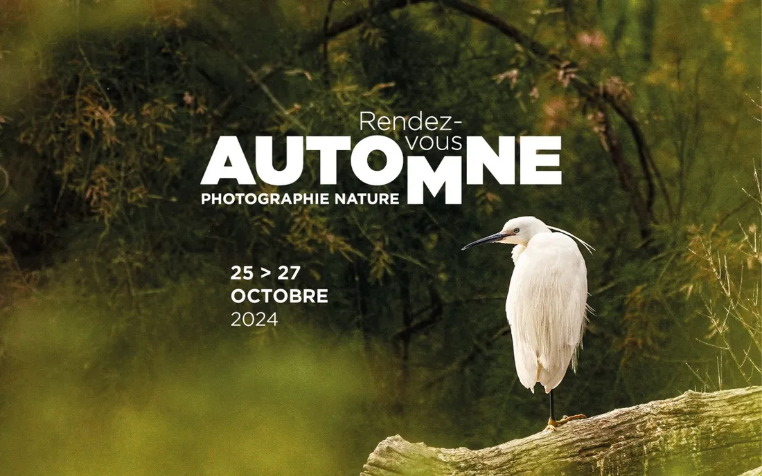 Rendez-vous d’automne - Arles / Saintes Maries de la Mer