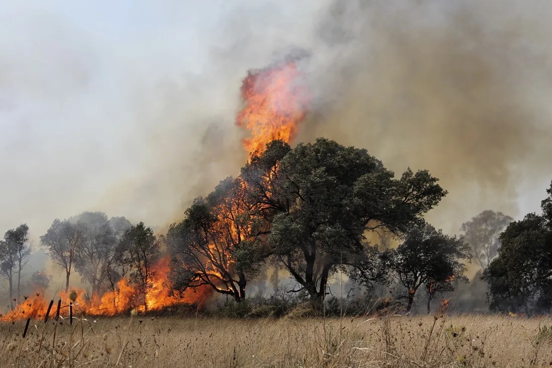 Été 2025 : une vigilance maximale face aux incendies dans le sud de la France