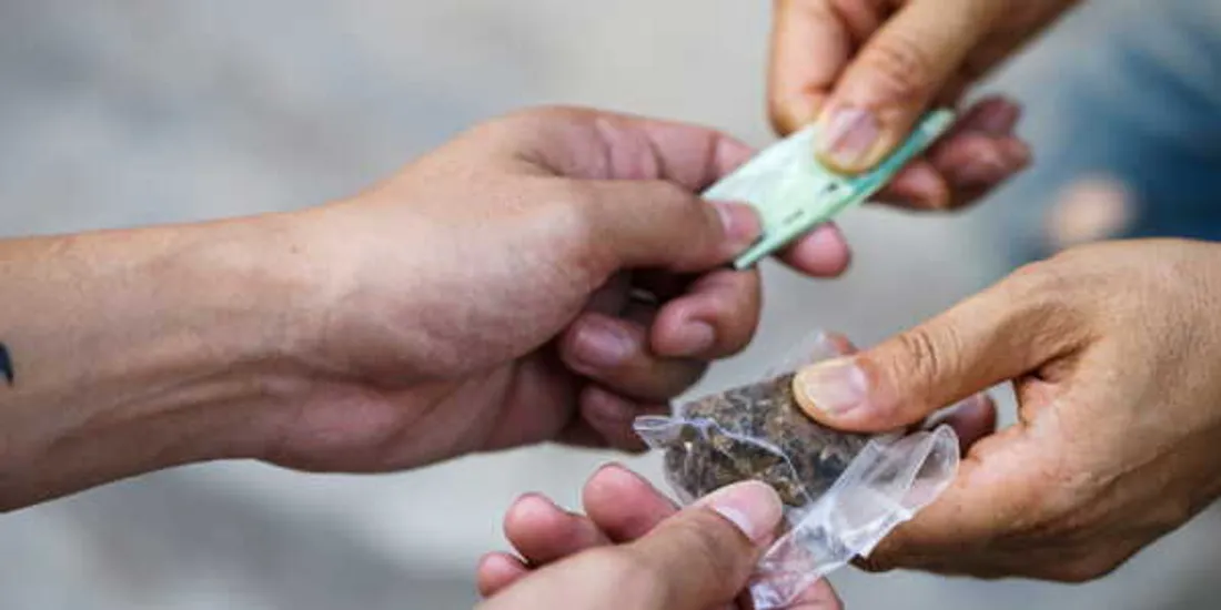 Les trafiquants de drogue bientôt privés de logement social