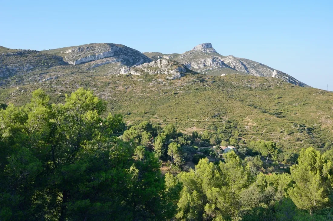 [ ENVIRONNEMENT ] Retour en forêt dans les Bouches-du-Rhône, sous haute tension météo