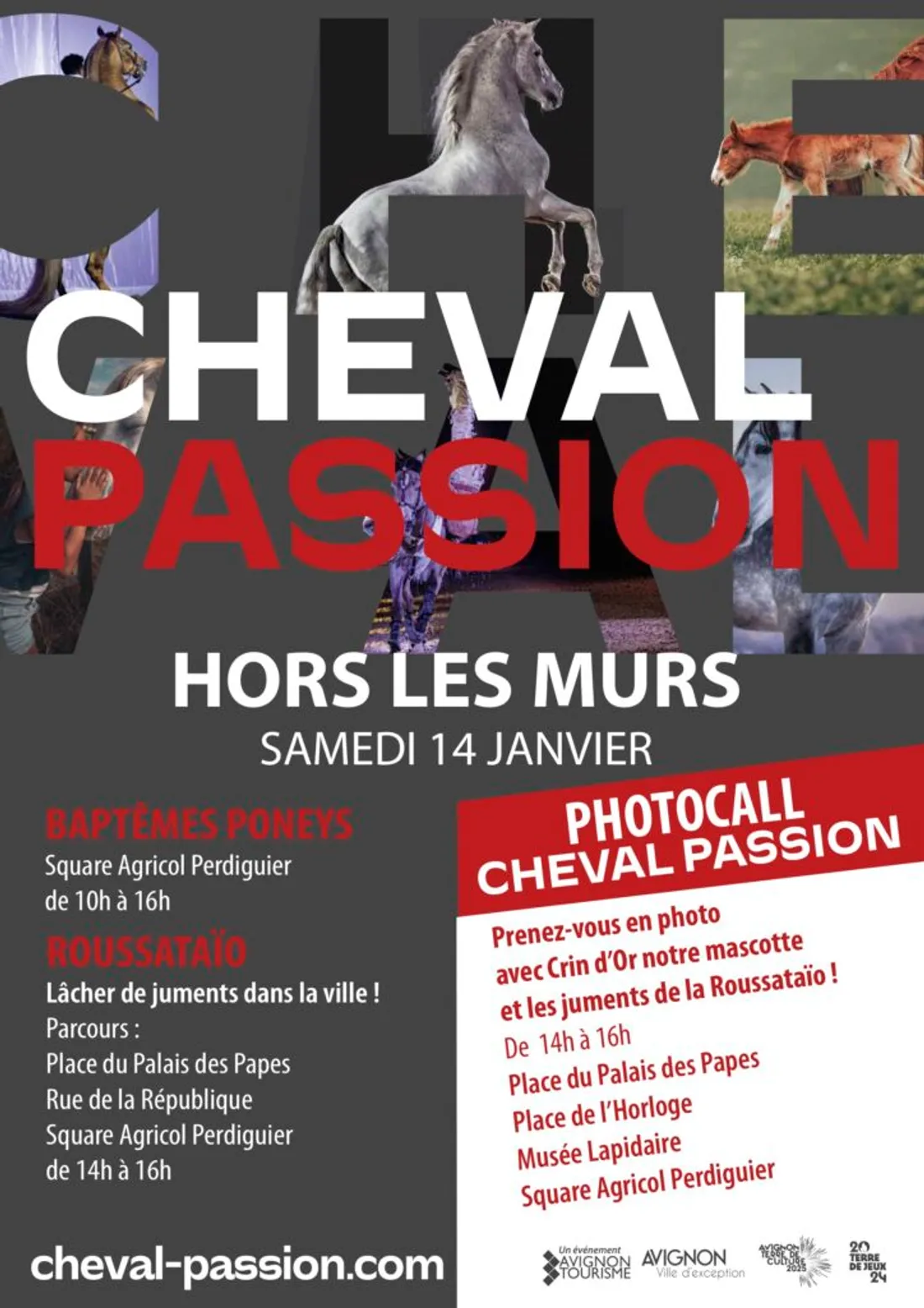 CHEVAL PASSION