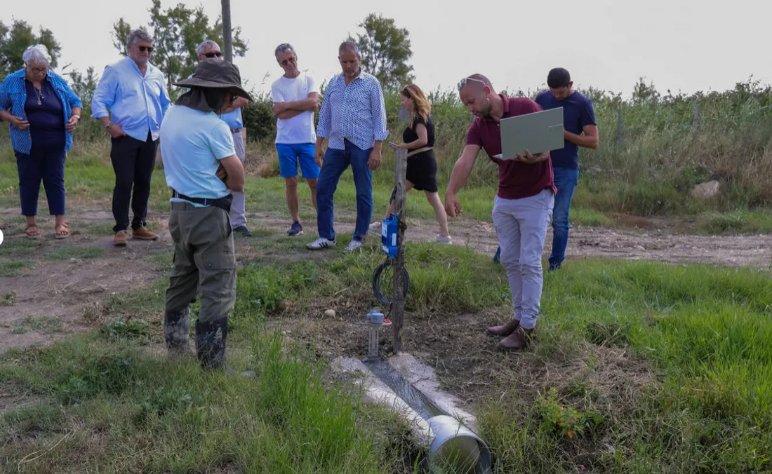 Arles:l'irrigation automatisée depuis le canal du Japon pour pérenniser la filière du riz camarguais