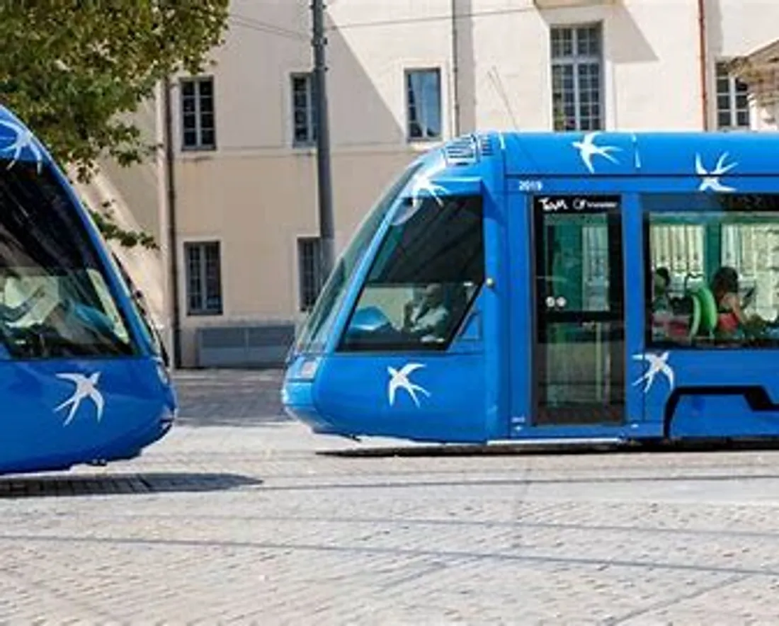 [ ECONOMIE - ECOLOGIE ] Transports en commun gratuits à Montpellier