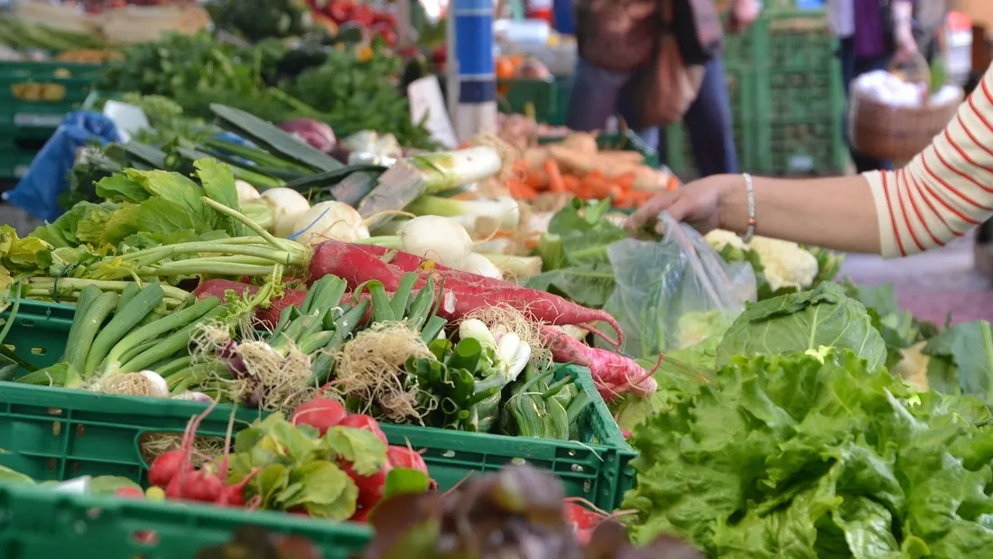 marché local illu