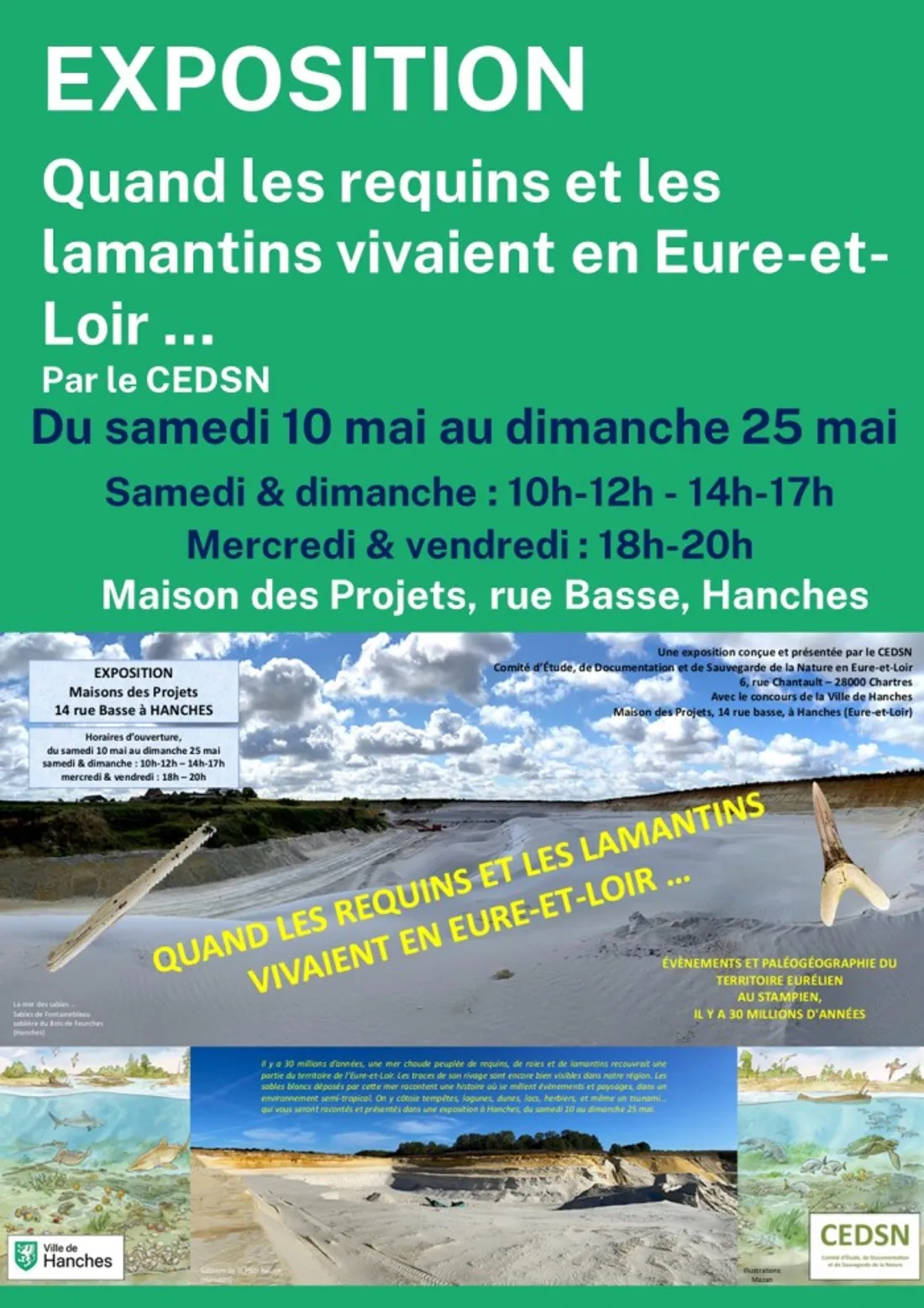 HANCHES - Exposition : Quand les requins et les lamantins vivaient en Eure-et-Loir