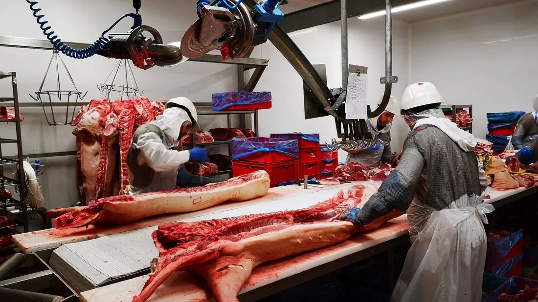 boucherie découpe porc