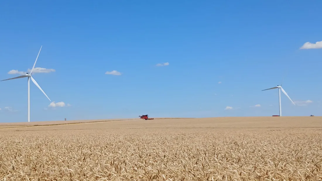 MOISSON CHAMP / blé