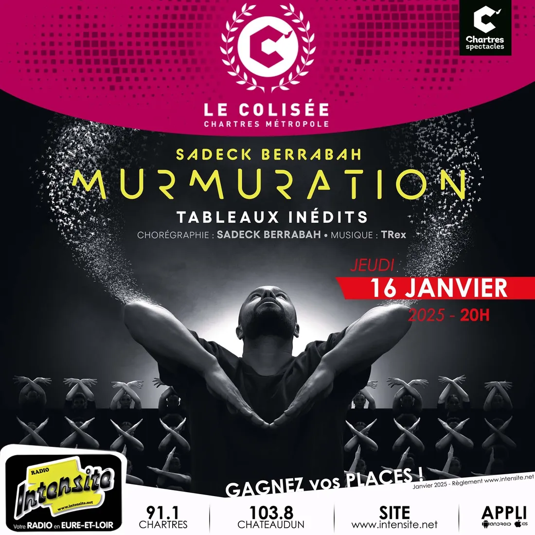 Découvrez "Murmuration" au Colisée !