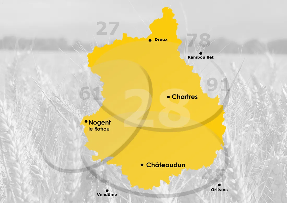Zone de Diffusion