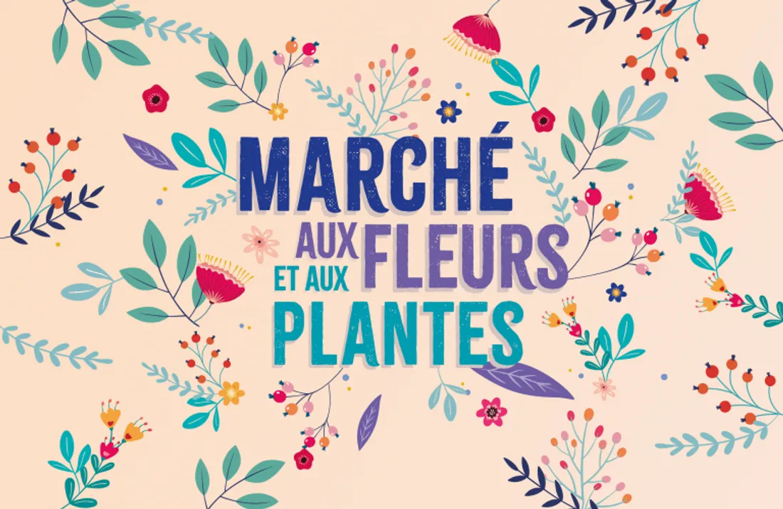 BLOIS (41) - Marché aux fleurs et aux plantes