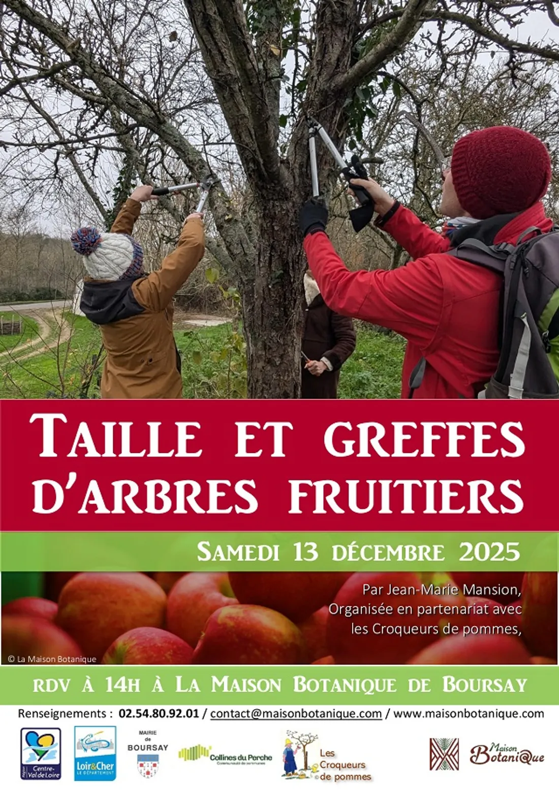 BOURSAY (41) - Taille de restauration des fruitiers