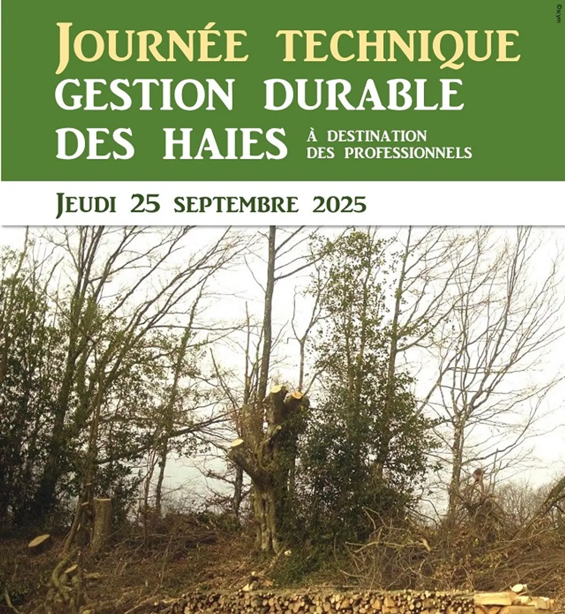 BOURSAY (41) - Journée technique gestion durable de la haie