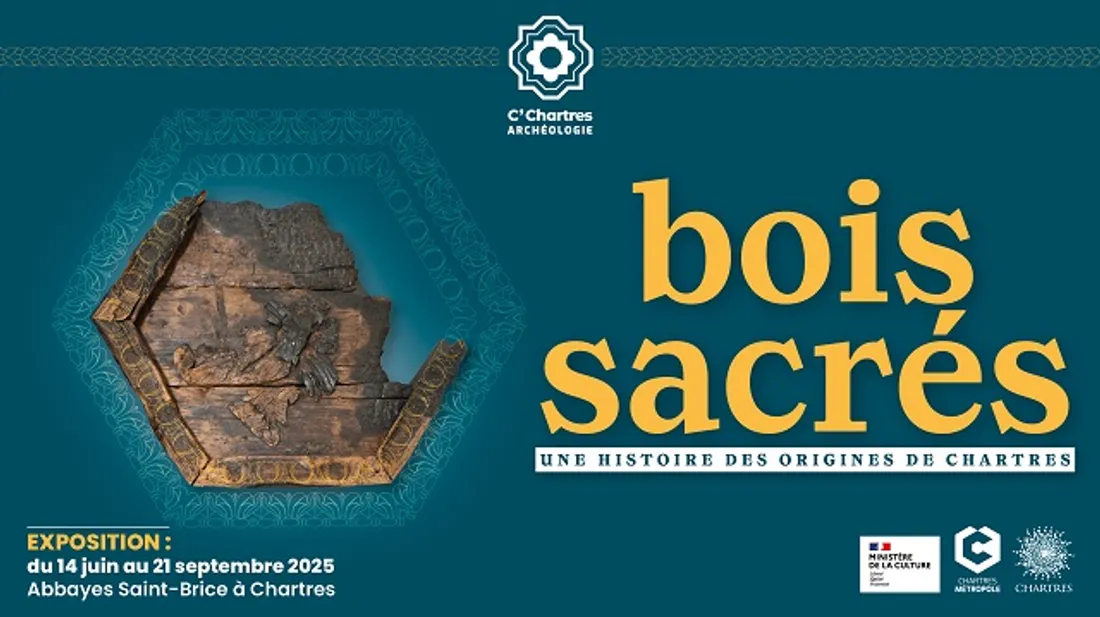 CHARTRES - Exposition : Bois sacrés