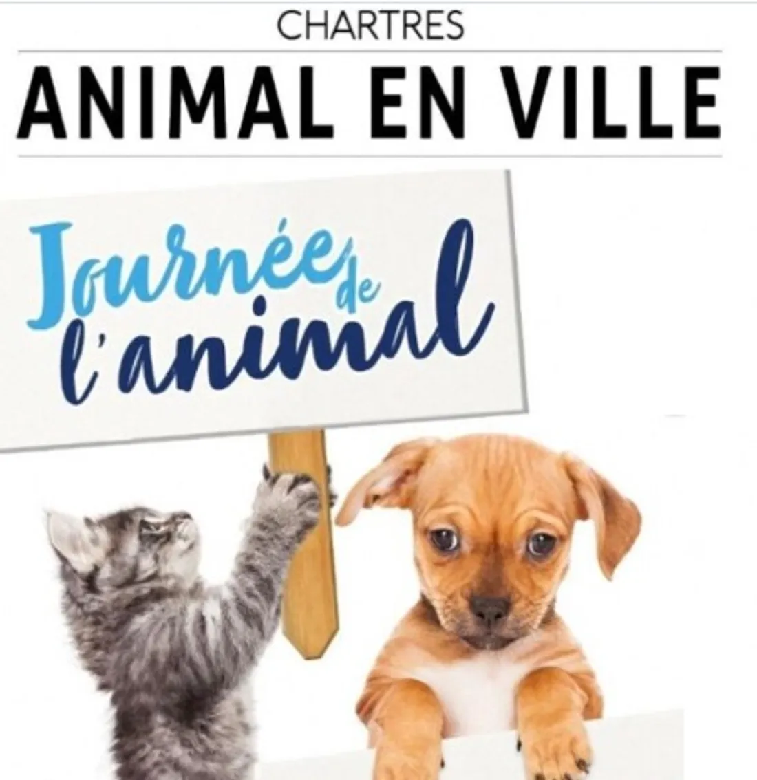 CHARTRES - Journée de l'animal en ville