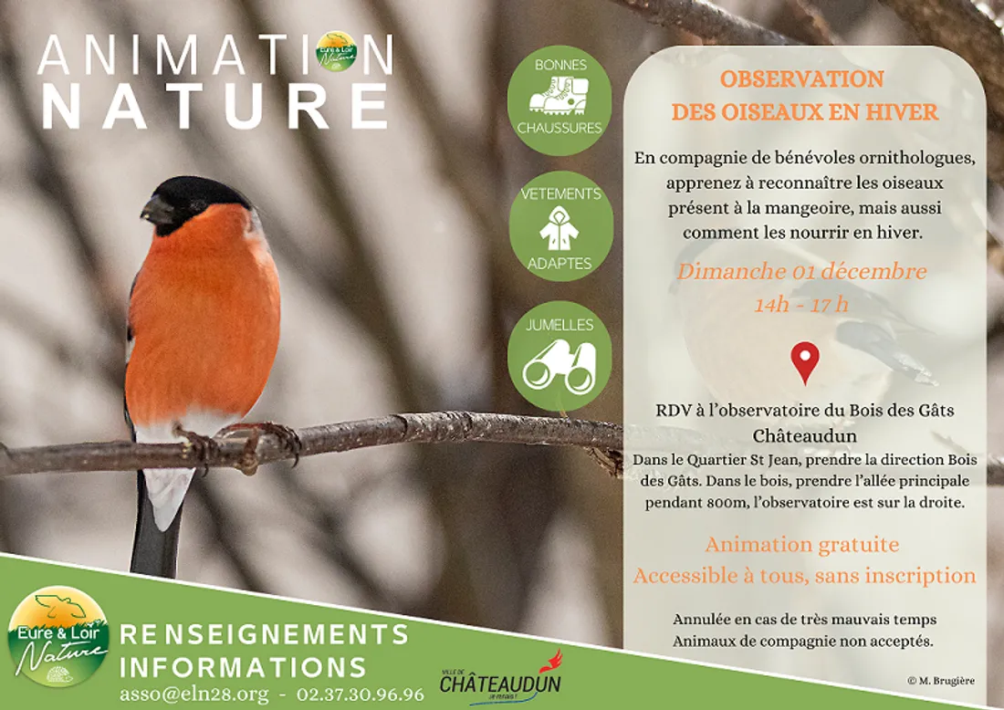 CHÂTEAUDUN - Observation des oiseaux en hiver