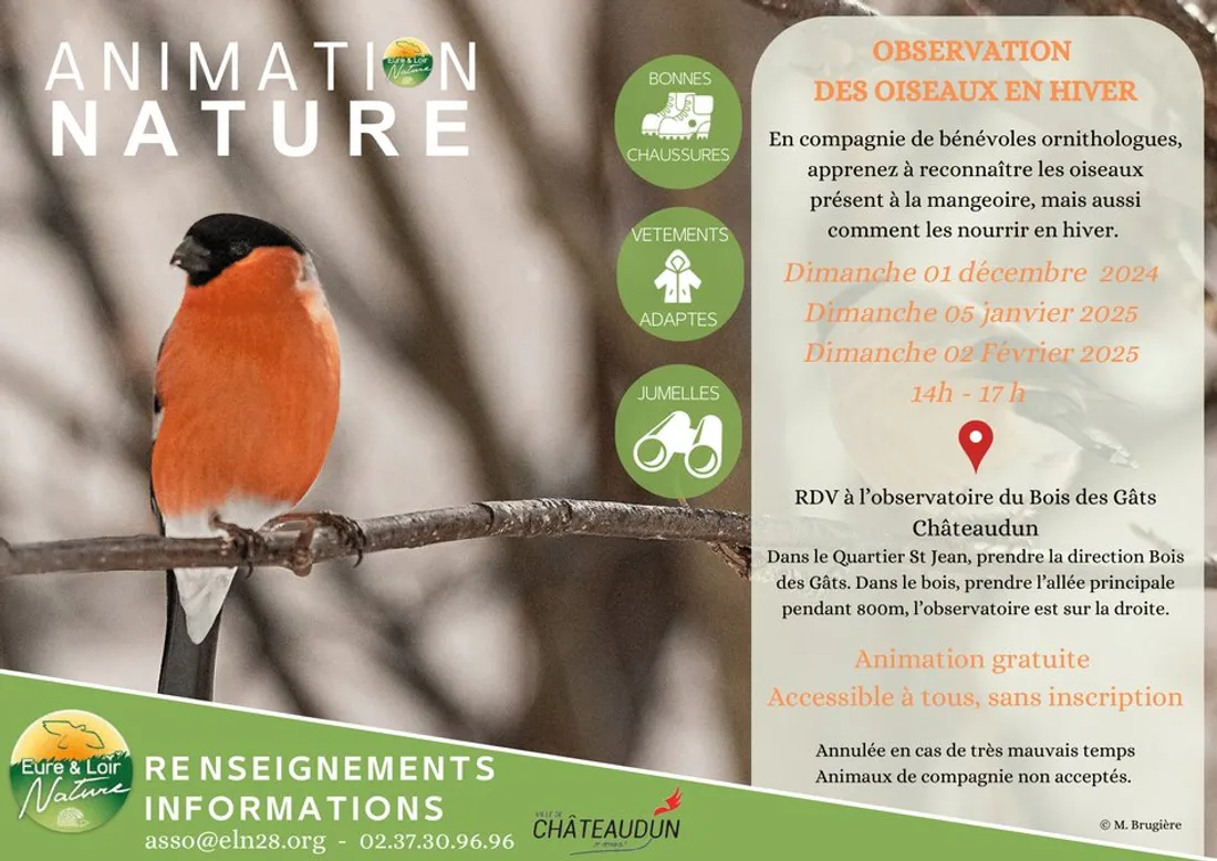 CHÂTEAUDUN - Observation des oiseaux en hiver