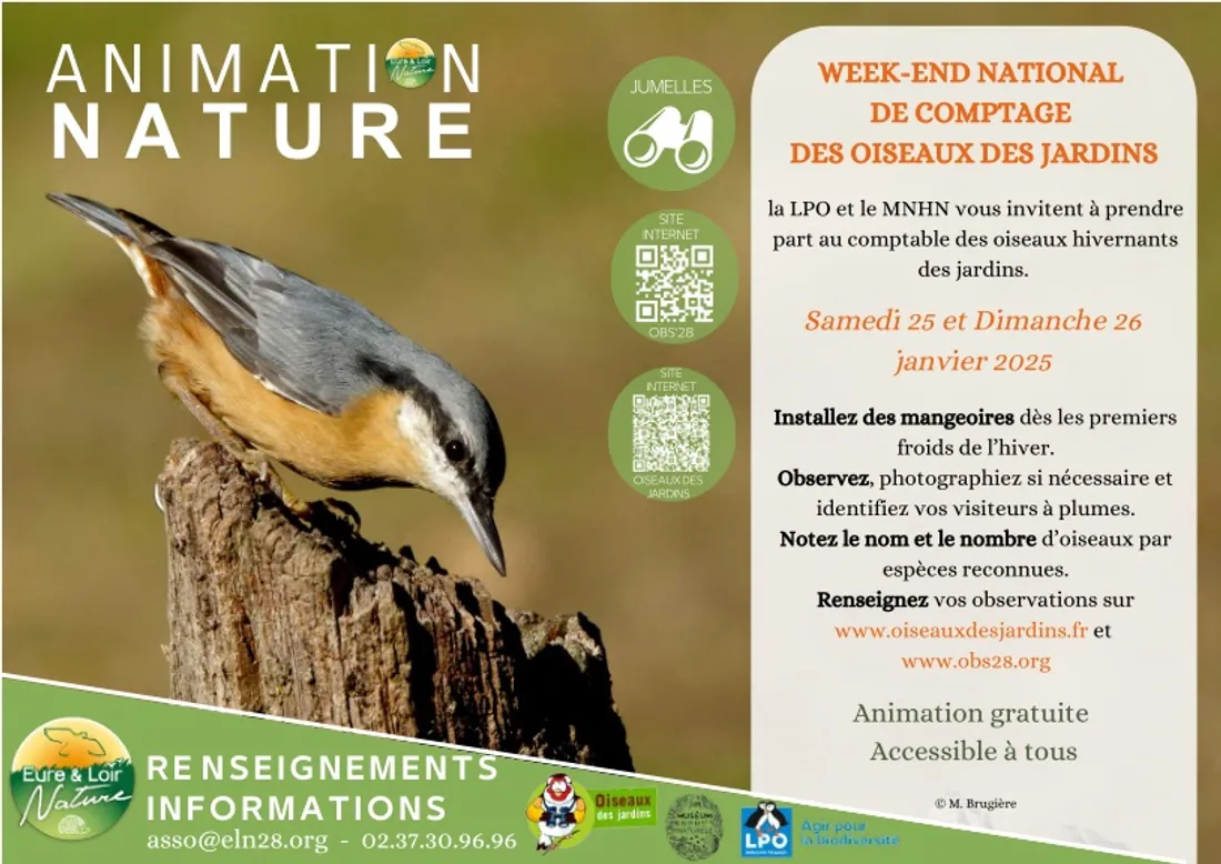 EURE-ET-LOIR - Week-end national de comptage des oiseaux des jardins