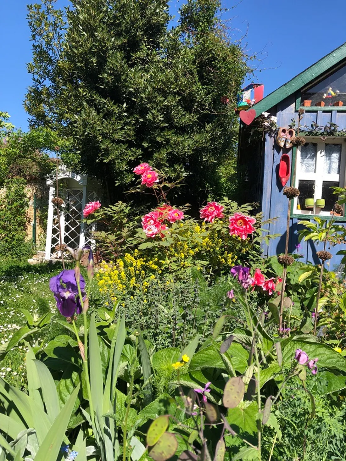 CROTH (27) - Rendez-vous au jardin