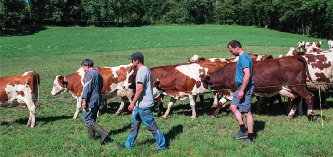 DREUX - Le mois du doc : La ferme des Bertrand