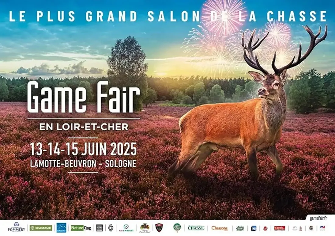 LAMOTTE-BEUVRON (41) - Game Fair