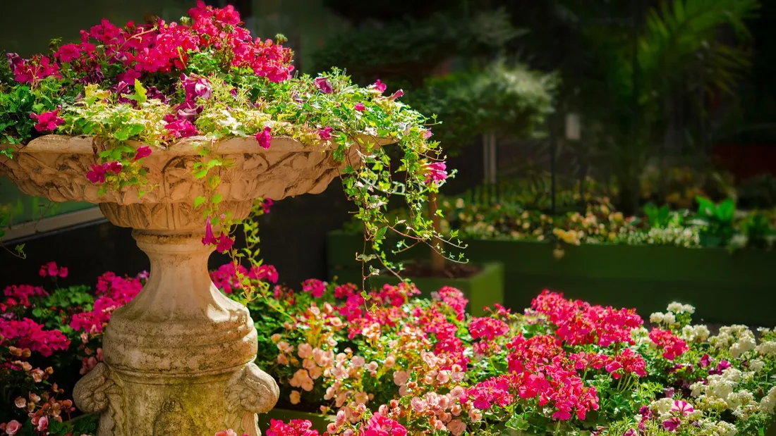 jardin fontaine de fleurs