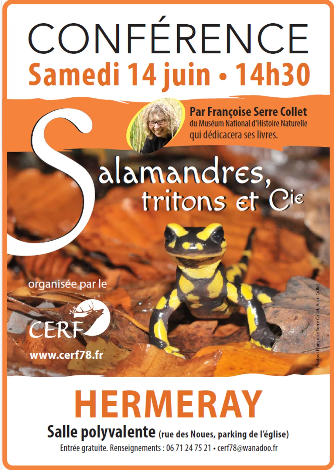 HERMERAY (78) - Conférence : Salamandres, triton et compagnie