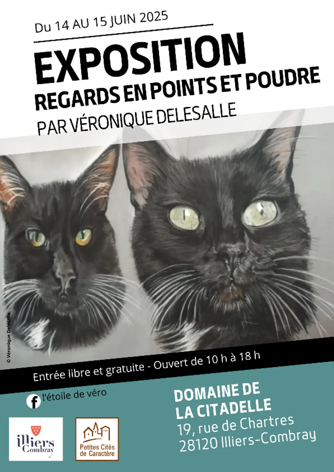 ILLIERS-COMBRAY - Exposition : Regards en points et poudre par Véronique Delesalle