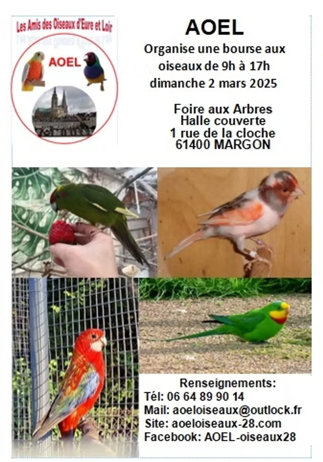 MARGON - Bourse aux oiseaux