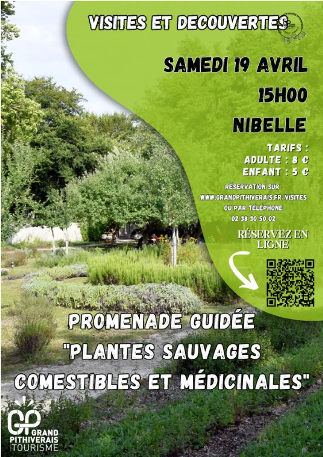 NIBELLE (45) - Visite et découverte : Plantes sauvages comestibles et médicinales