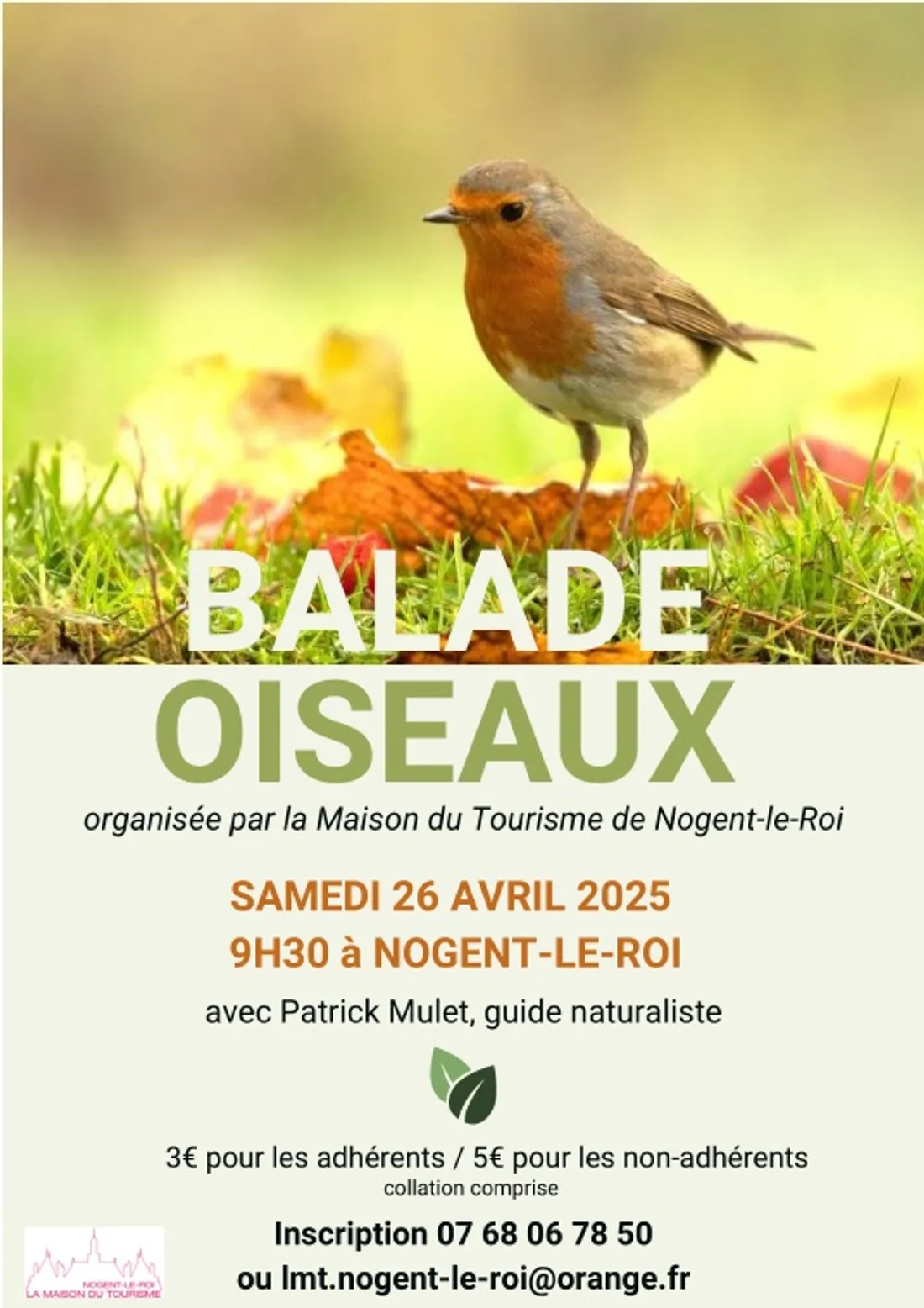 NOGENT-LE-ROI - Balade oiseaux