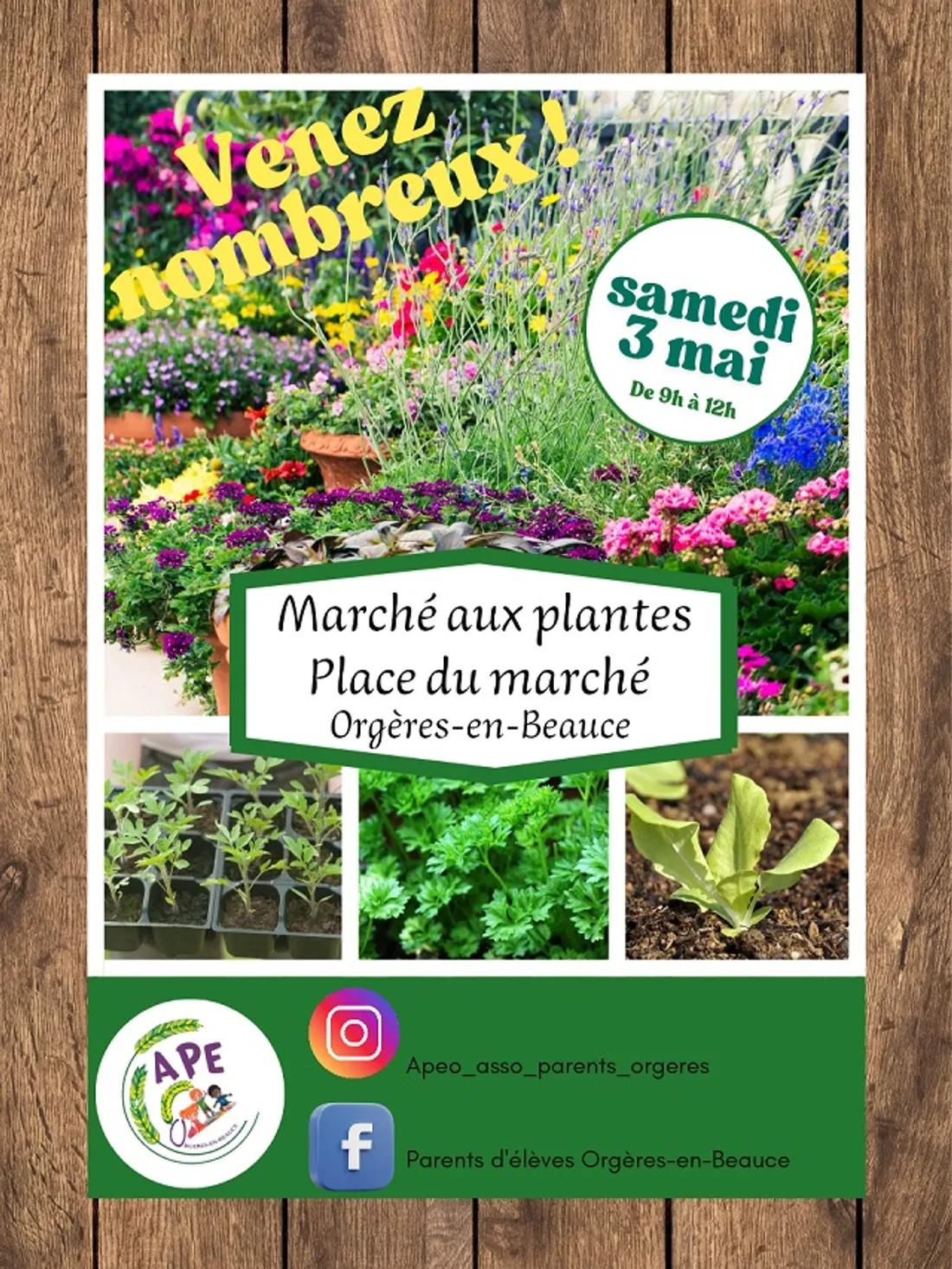 ORGÈRES-EN-BEAUCE - Marché aux plantes