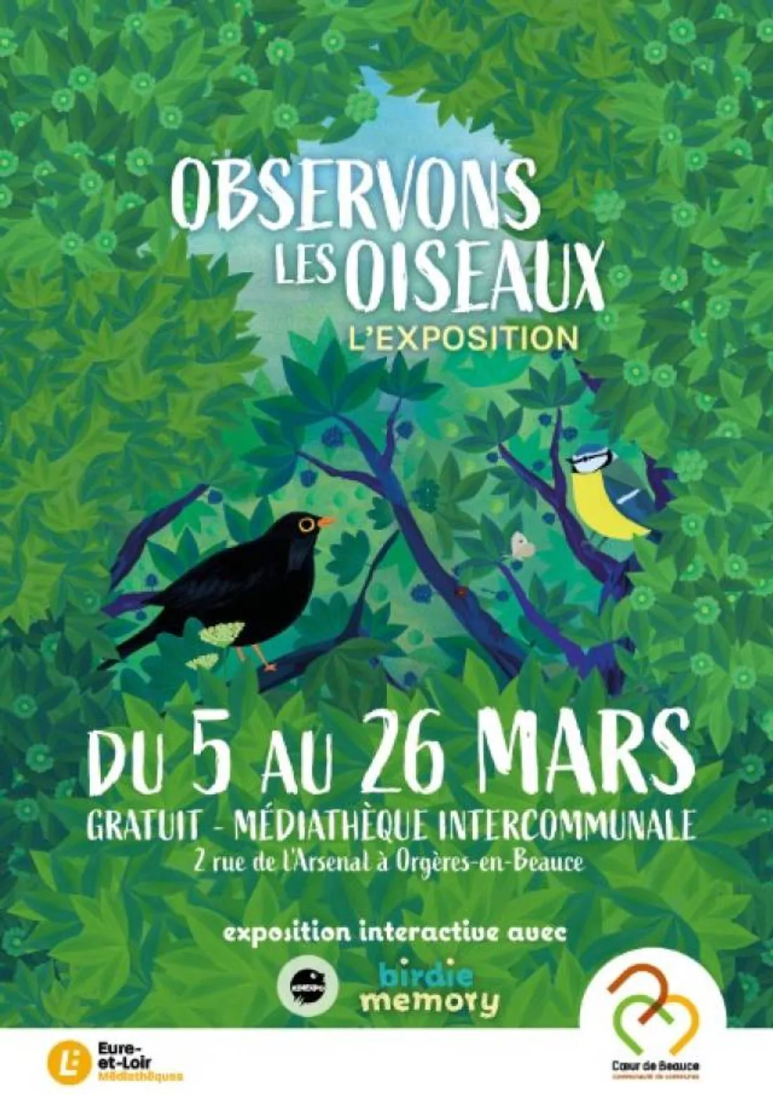 Affiche de l'exposition « Observons les oiseaux » mars 2025 à la Médiathèque Coeur de Beauce