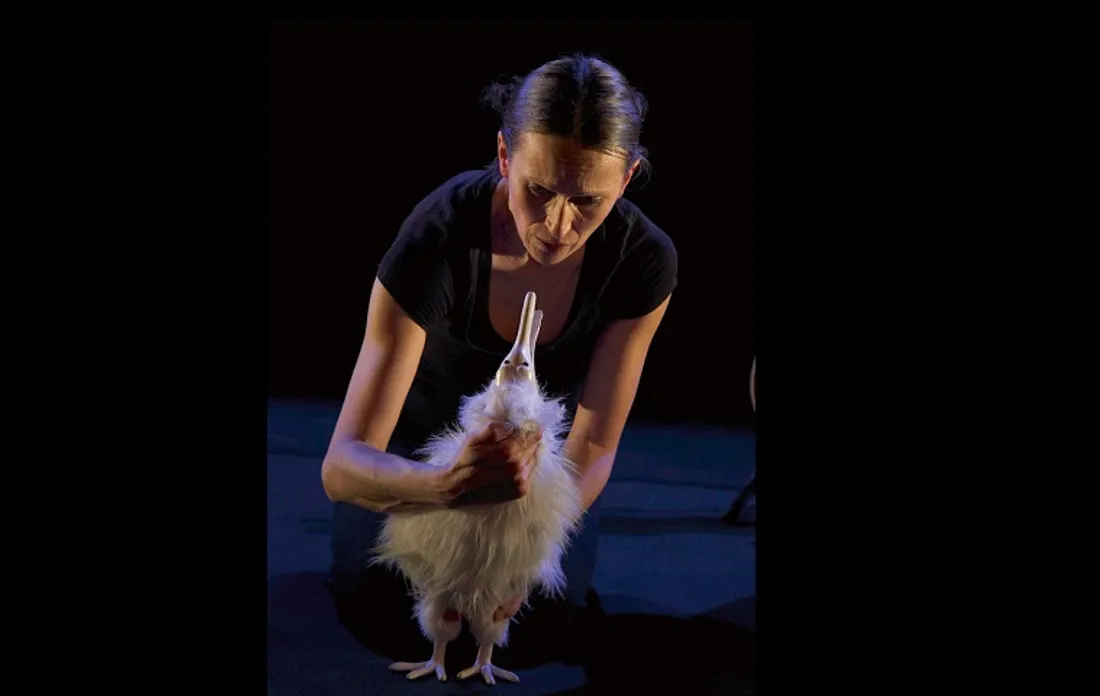 RAMBOUILLET – Jeune public : Le rêve de kiwi
