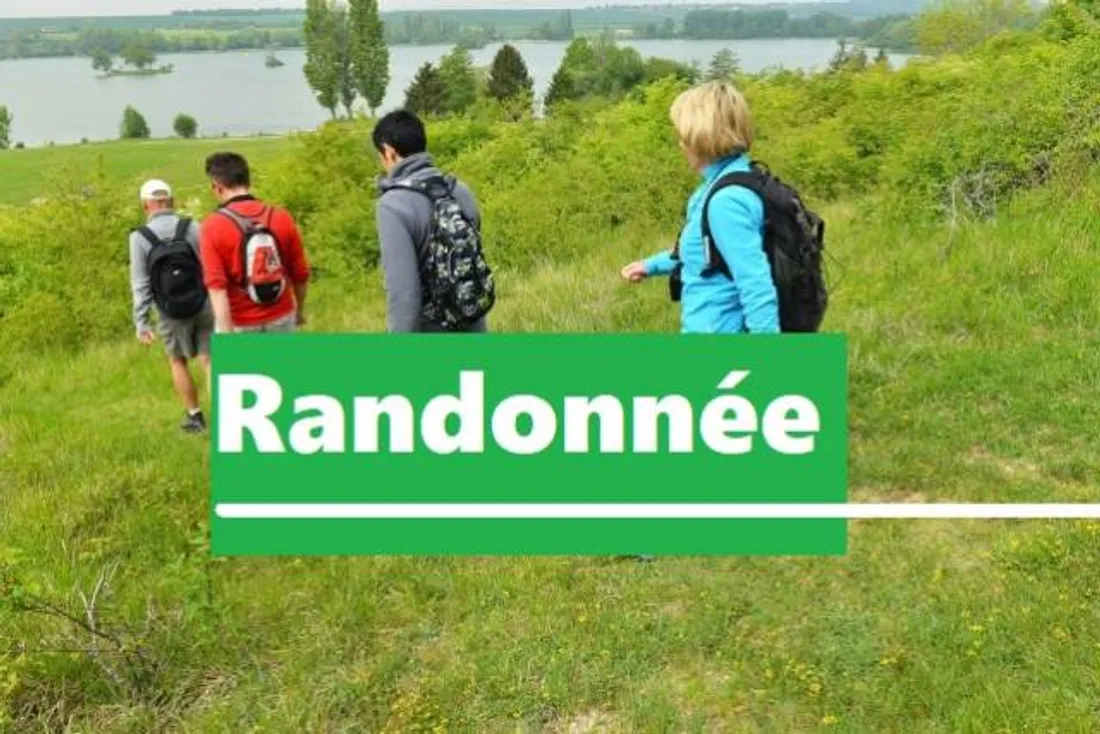 Randonnée pédestre