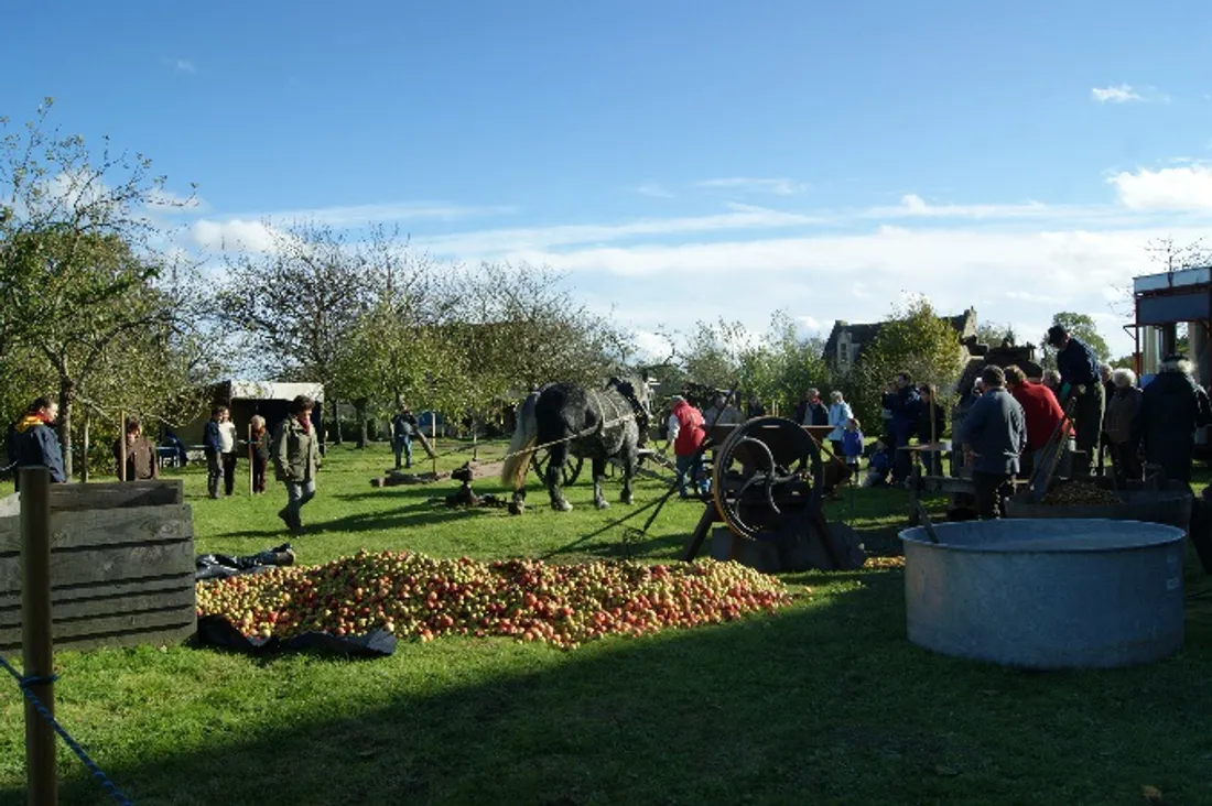 Ecomusée du Perche - Fête de l'Arbre et du Cidre.
