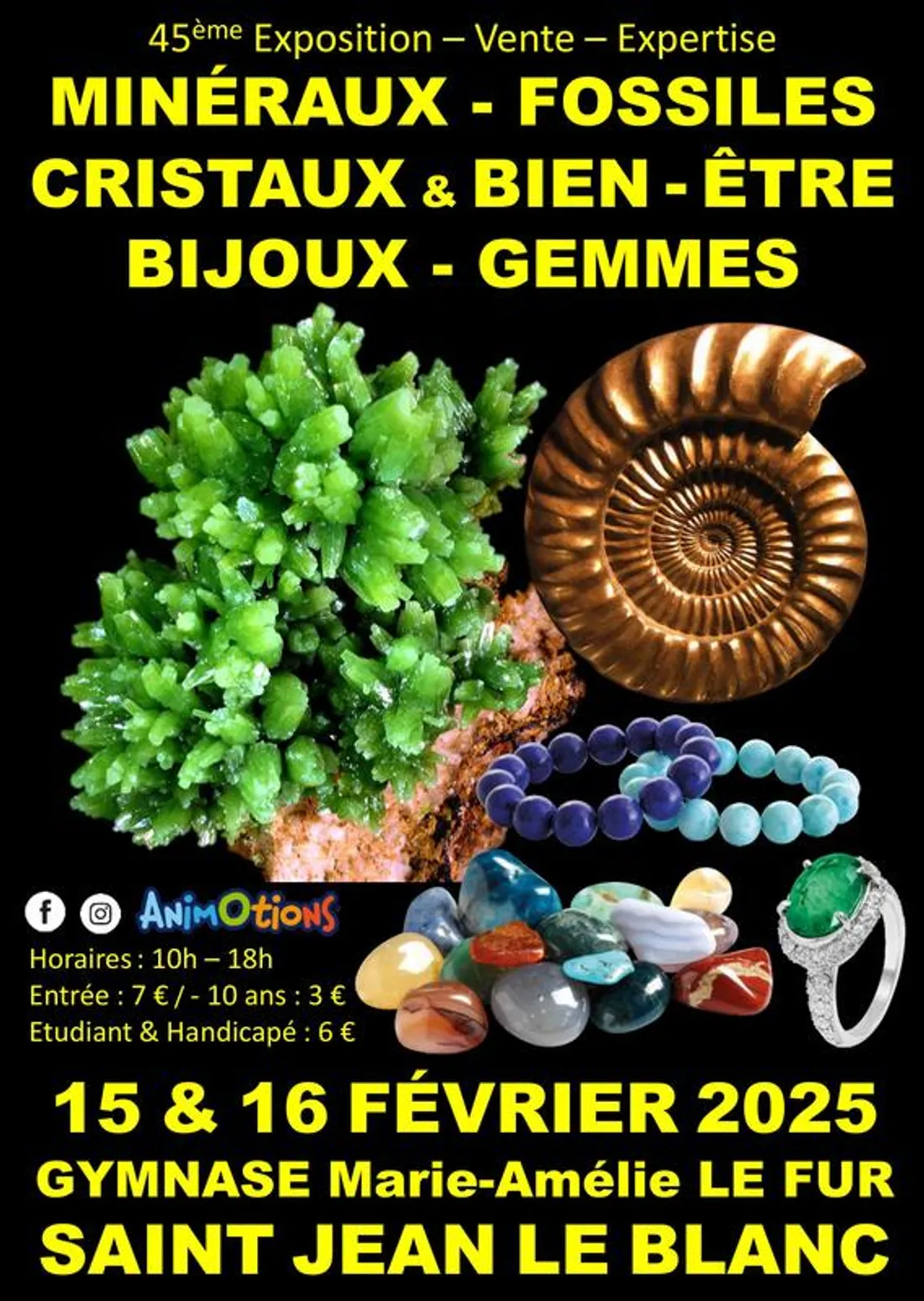 SAINT-JEAN-LE-BLANC (45) - 45ème salon minéraux fossiles cristaux & bien-être bijoux et gemmes