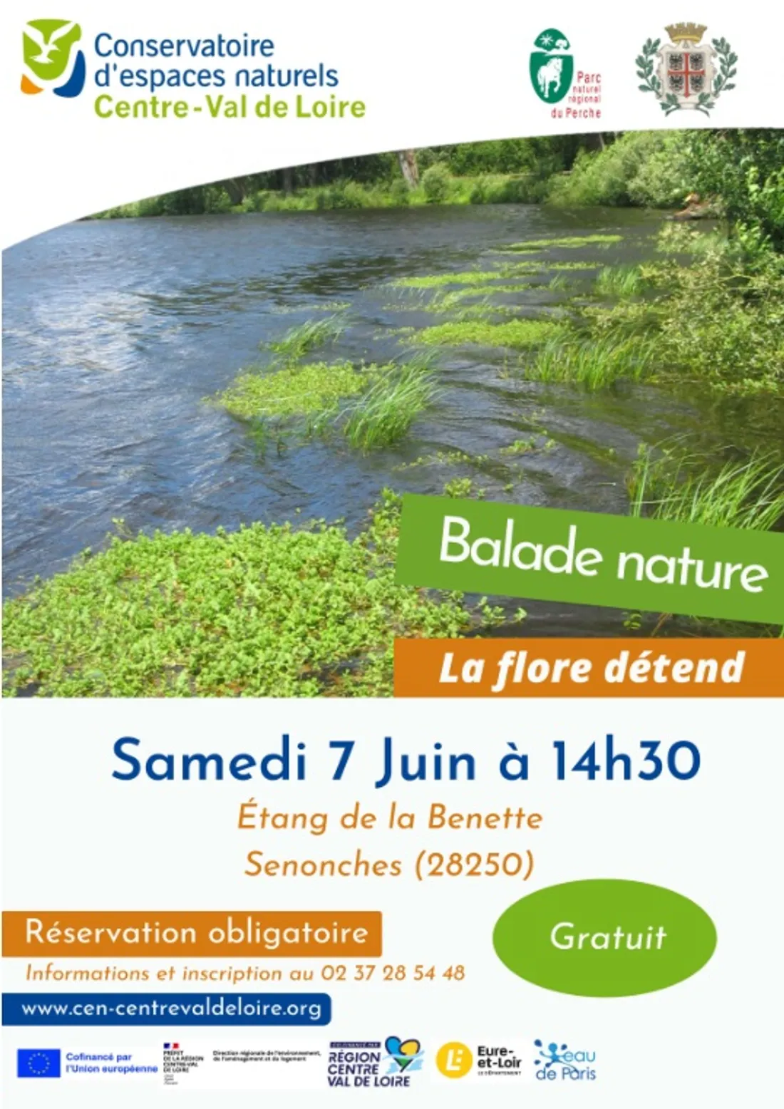 SENONCHES - Nature : La flore détend