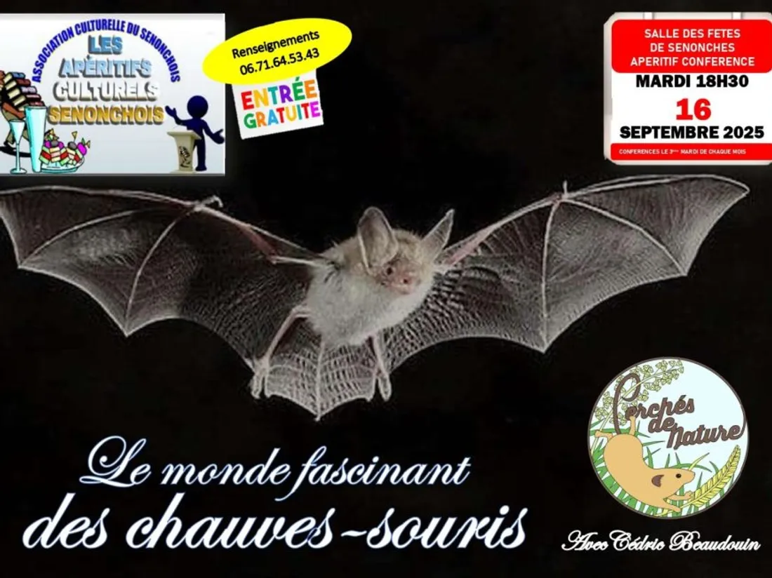 SENONCHES - Apéritif culturel : Le monde fascinant des chauves-souris