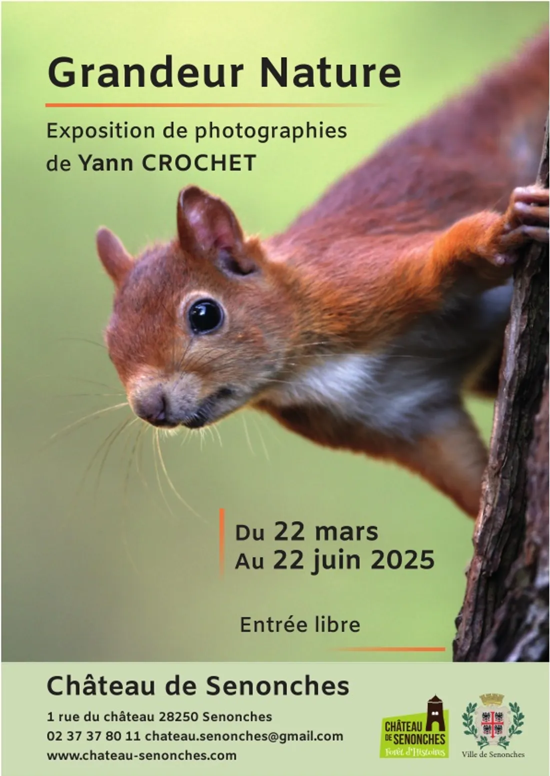 SENONCHES - Exposition : Grandeur Nature