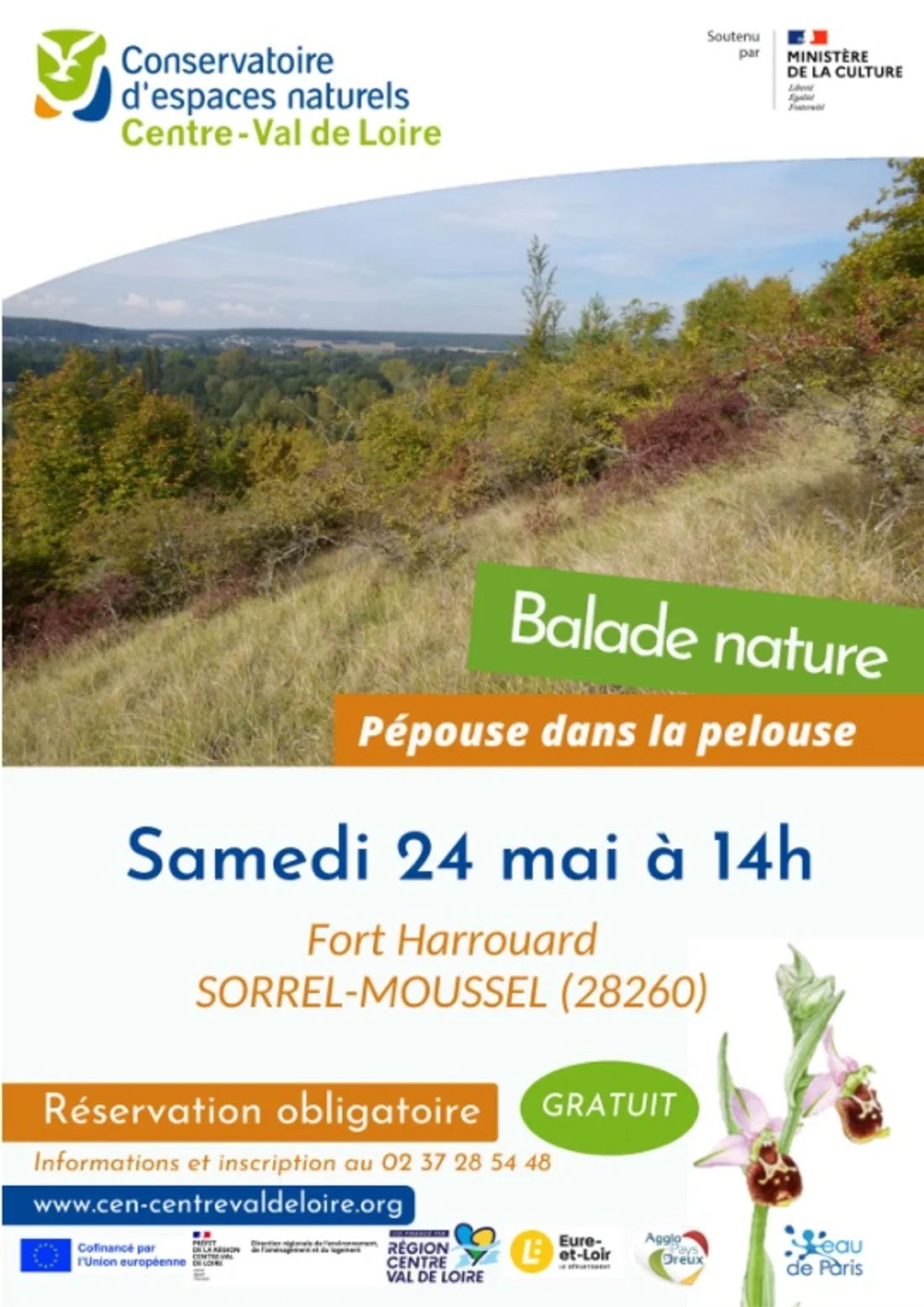 SOREL-MOUSSEL - Nature : Pépouse dans la pelouse