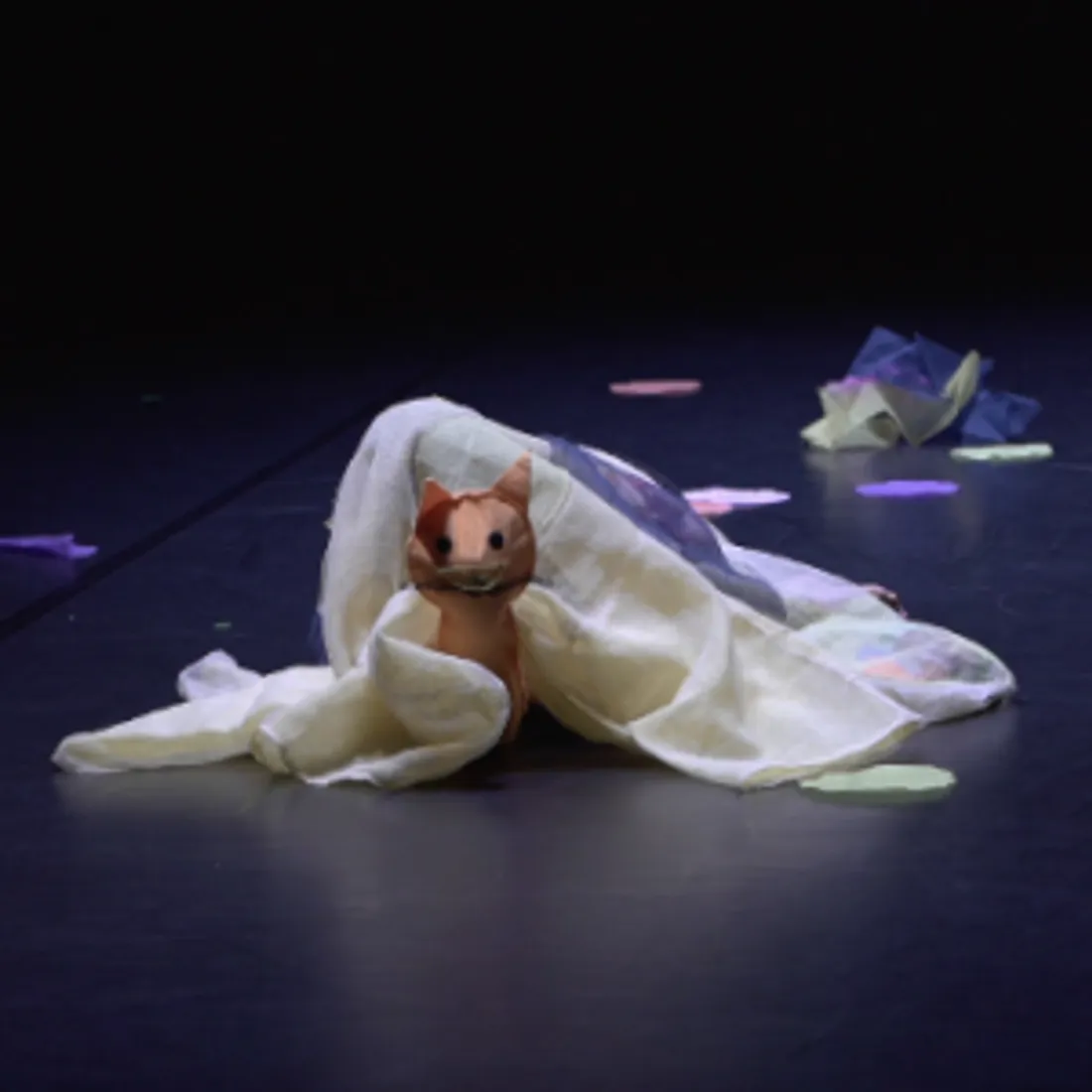 CHARTRES - Danse : Cocon