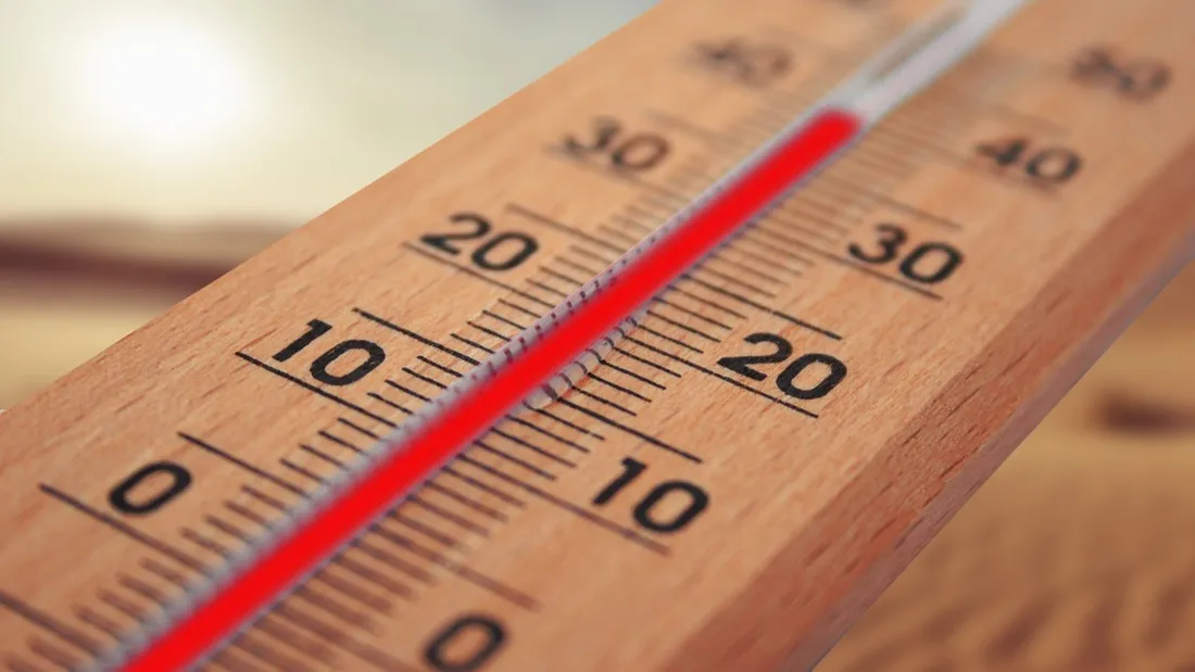 plan canicule