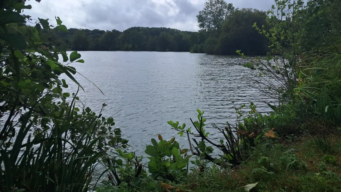 Etangs